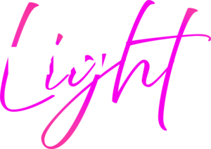 Lightpainters uit de polder Logo